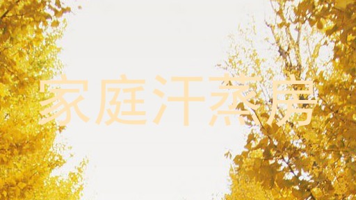 家庭汗蒸房