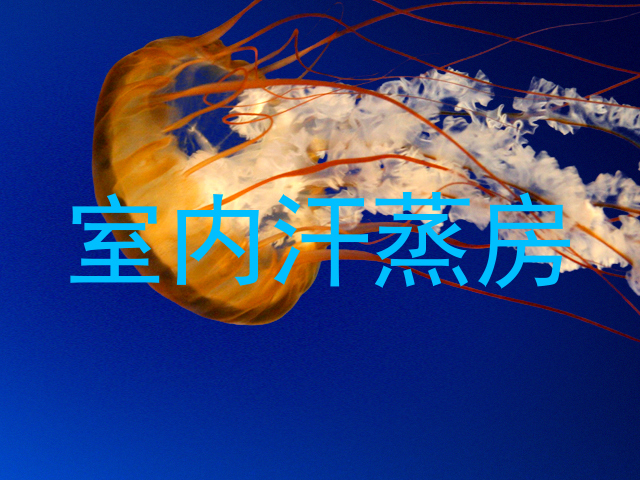 室内汗蒸房