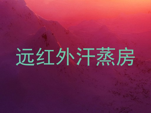远红外汗蒸房