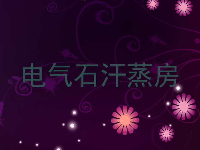 电气石汗蒸房