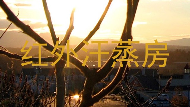红外汗蒸房