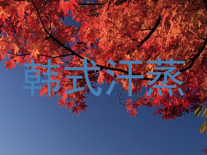 韩式汗蒸