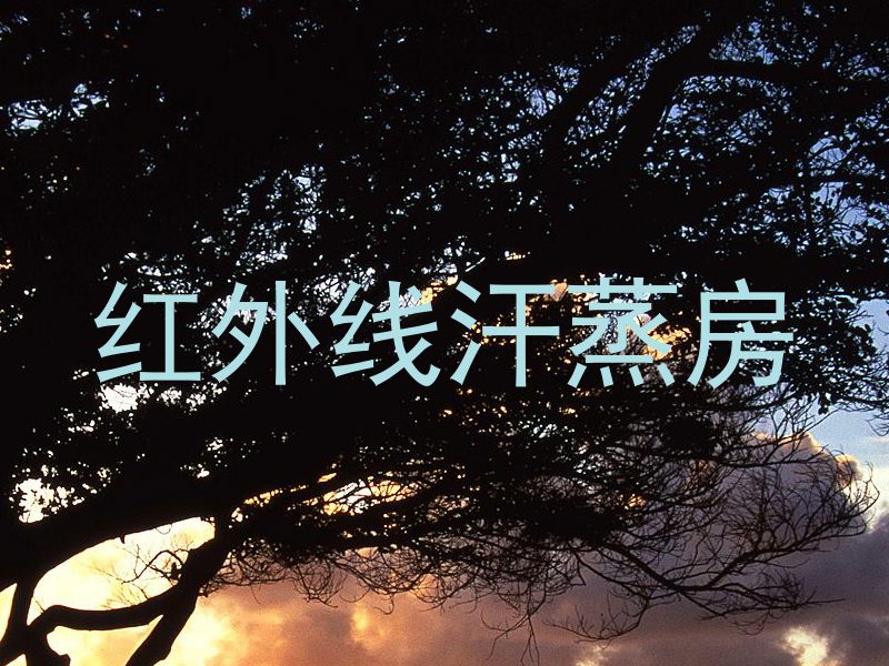 红外线汗蒸房