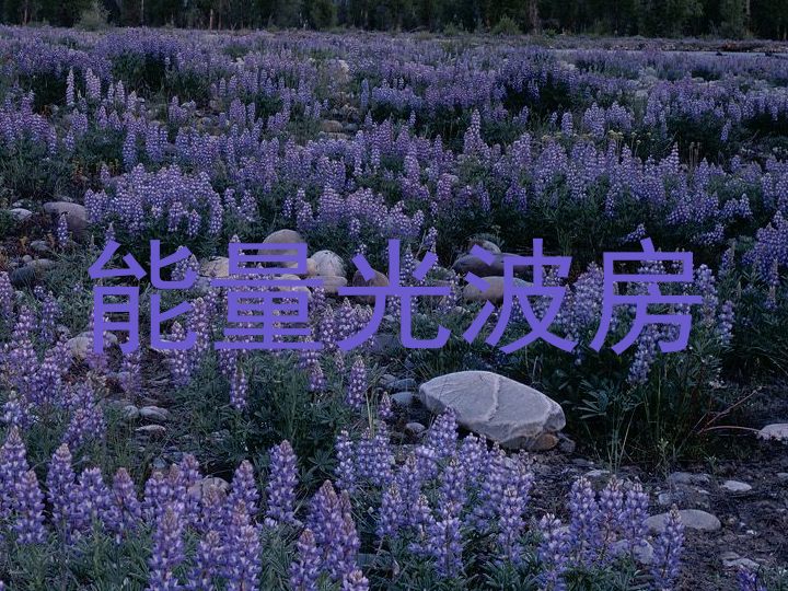 能量光波房