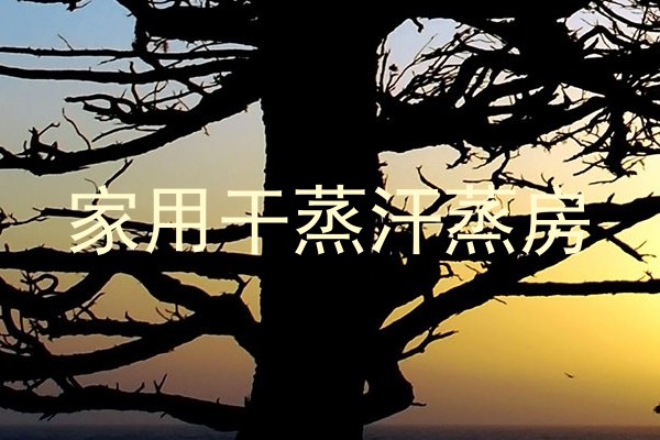 家用干蒸汗蒸房