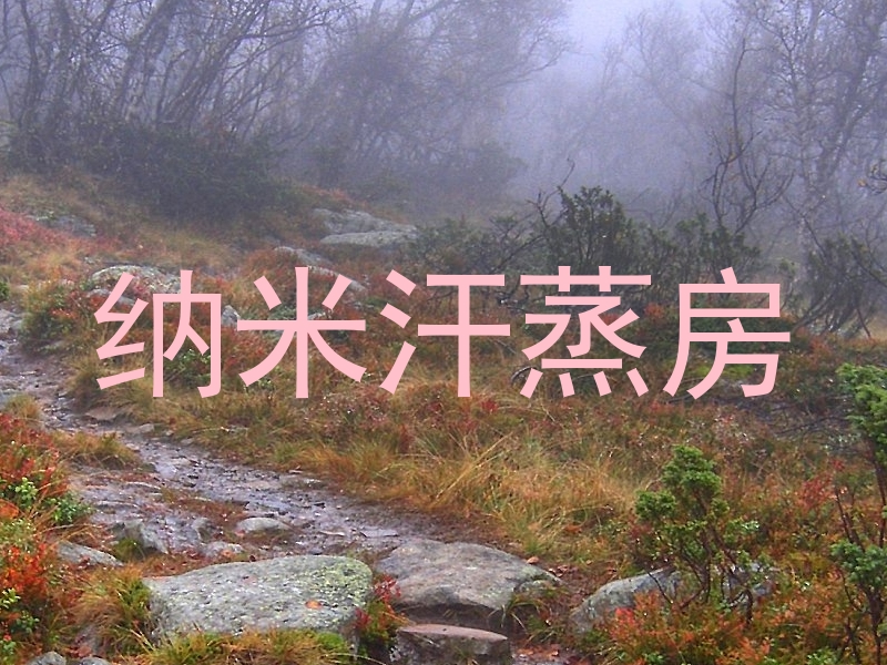 纳米汗蒸房