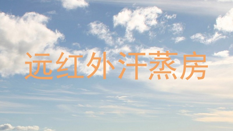 远红外汗蒸房