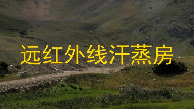 远红外线汗蒸房