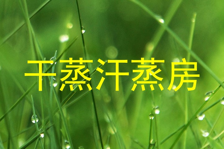 干蒸汗蒸房