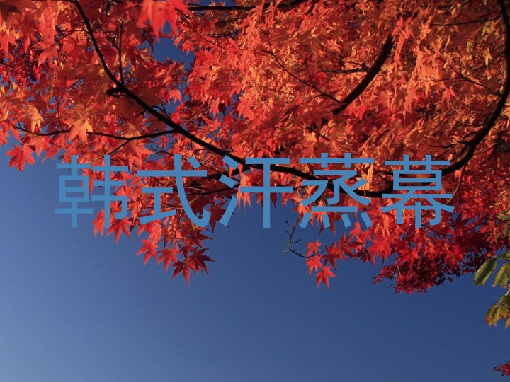 韩式汗蒸幕