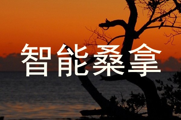 智能桑拿