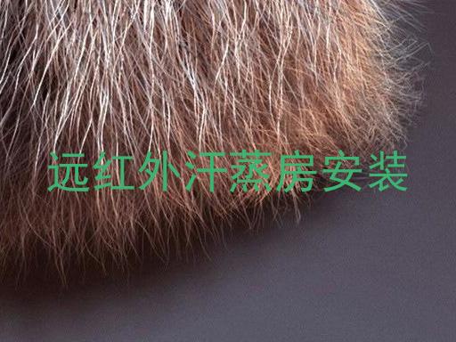 远红外汗蒸房安装