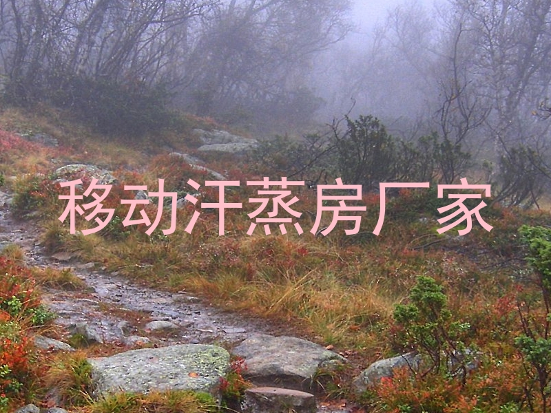 移动汗蒸房厂家