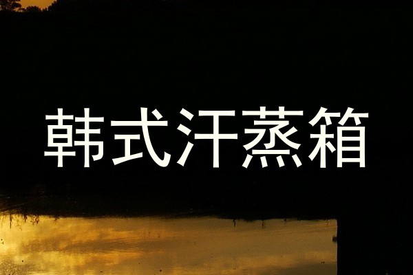 韩式汗蒸箱