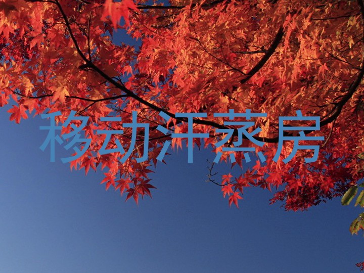 移动汗蒸房