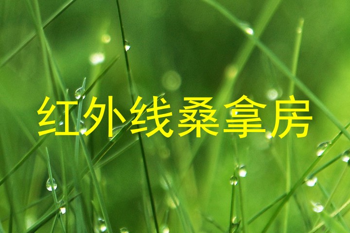 红外线桑拿房