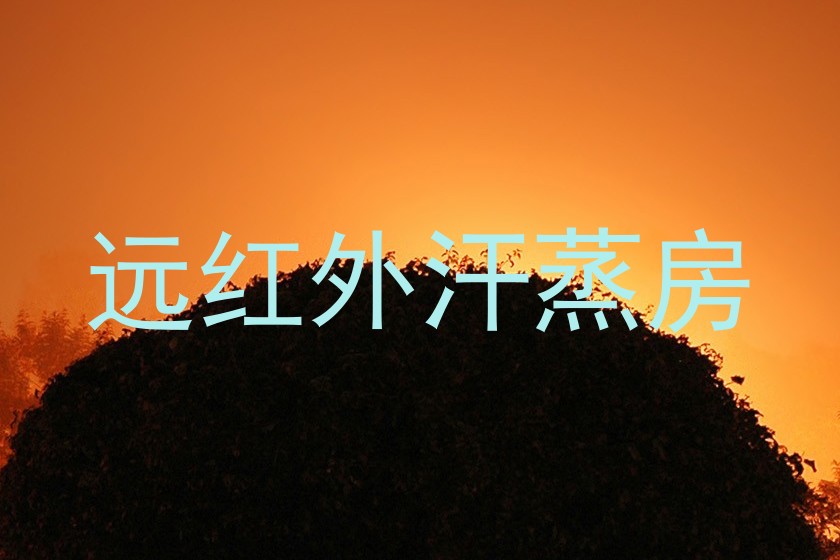 远红外汗蒸房