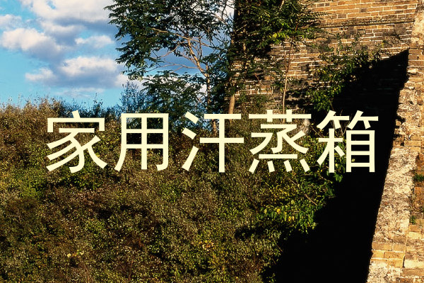 家用汗蒸箱