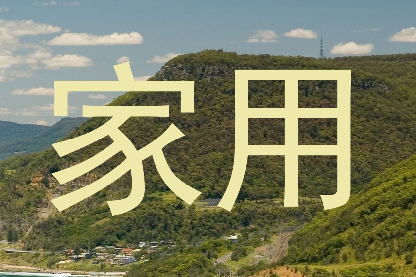 家用