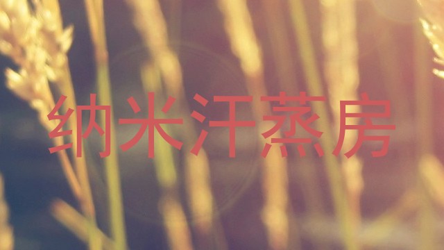纳米汗蒸房