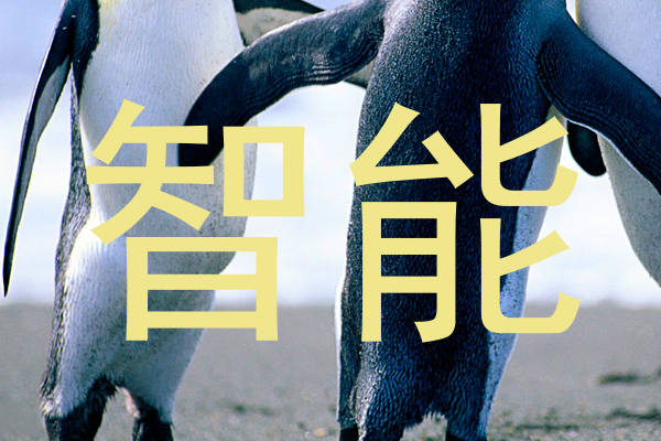 智能