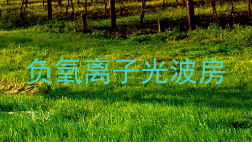负氧离子光波房