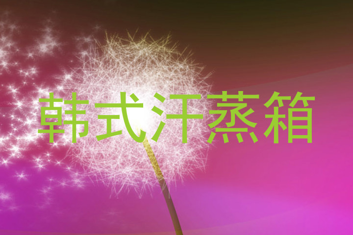 韩式汗蒸箱