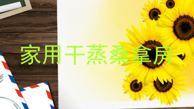 家用干蒸桑拿房