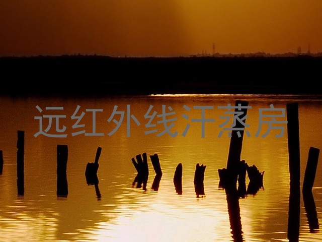 远红外线汗蒸房