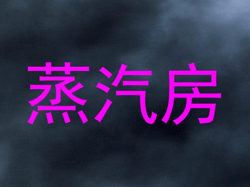蒸汽房
