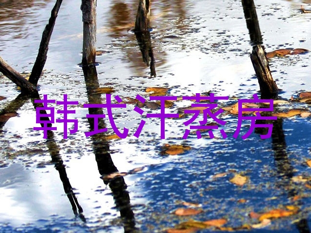 韩式汗蒸房