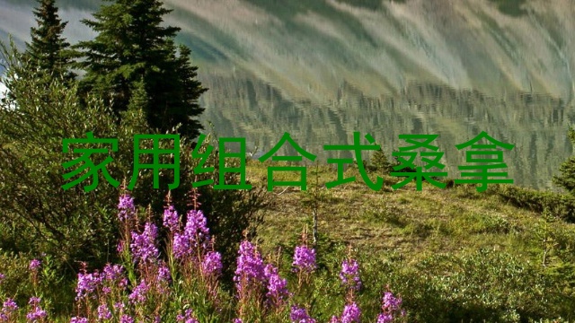 家用组合式桑拿