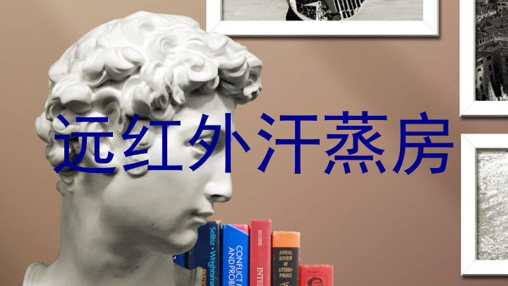 远红外汗蒸房