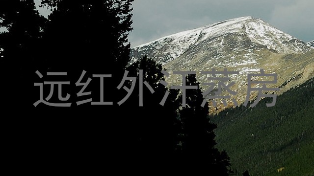 远红外汗蒸房