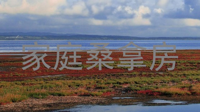 家庭桑拿房