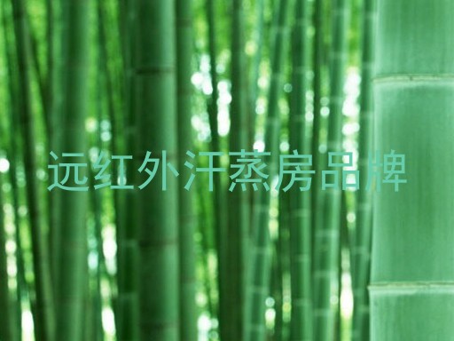 远红外汗蒸房品牌