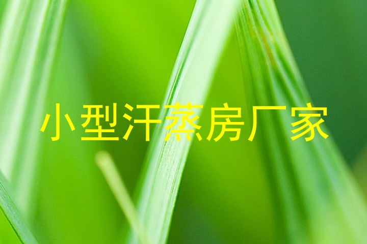 小型汗蒸房厂家
