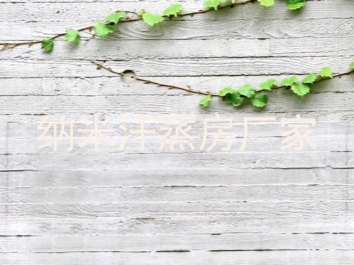 纳米汗蒸房厂家