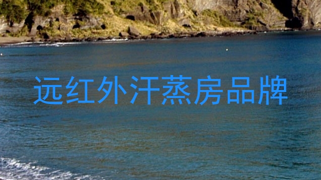 远红外汗蒸房品牌