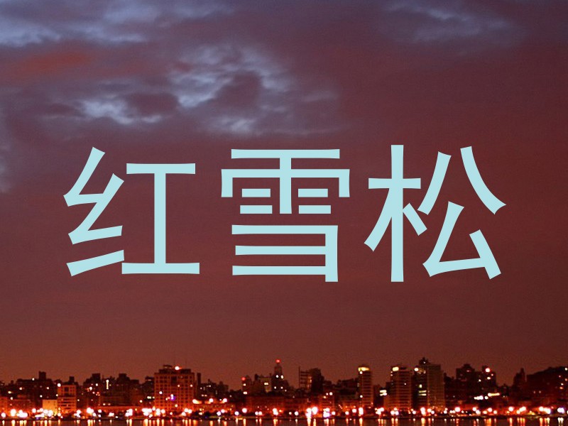 红雪松