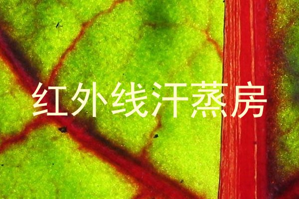 红外线汗蒸房