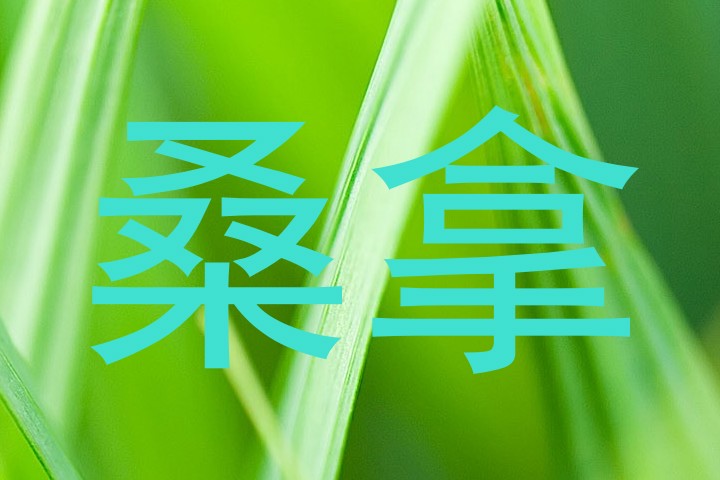桑拿
