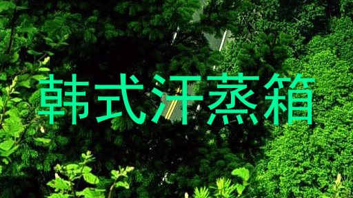 韩式汗蒸箱