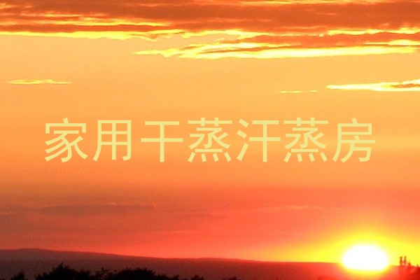 家用干蒸汗蒸房