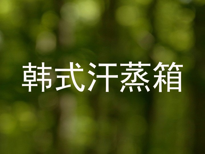韩式汗蒸箱