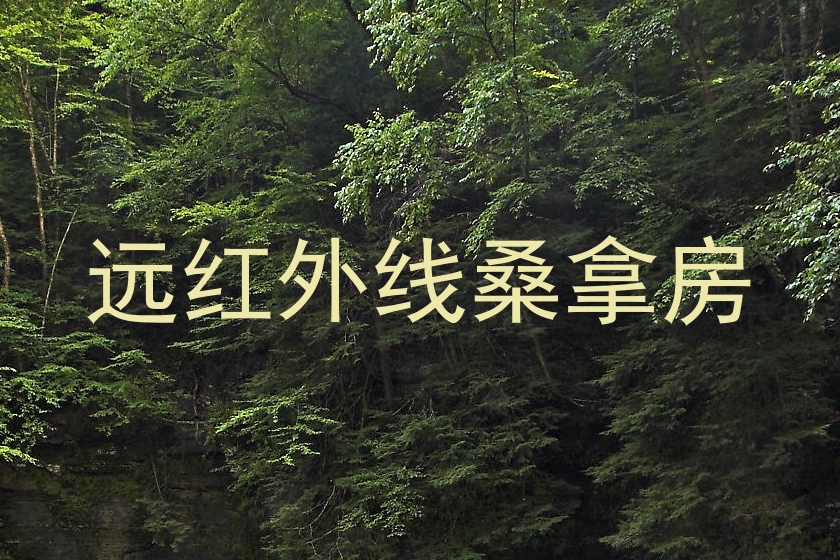 远红外线桑拿房