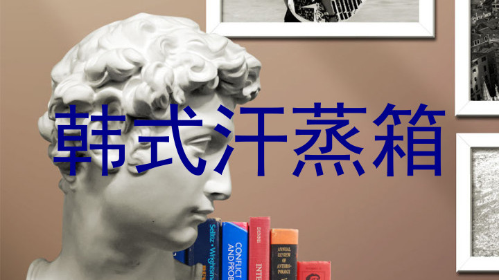 韩式汗蒸箱