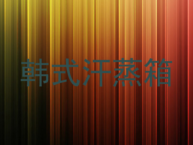 韩式汗蒸箱