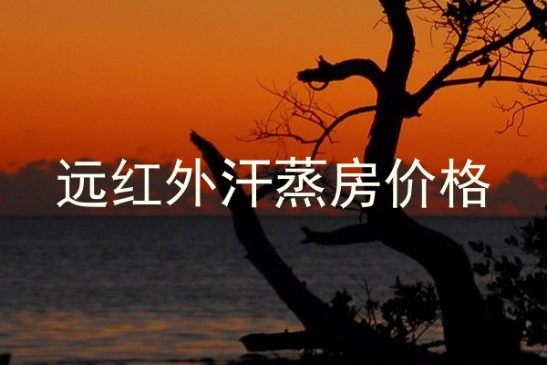 远红外汗蒸房价格