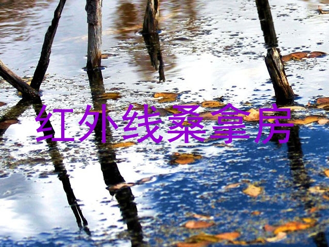 红外线桑拿房